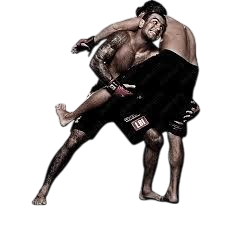 Cours de MMA